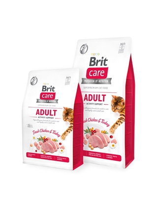 Picture of Brit Care Adult Activity Support